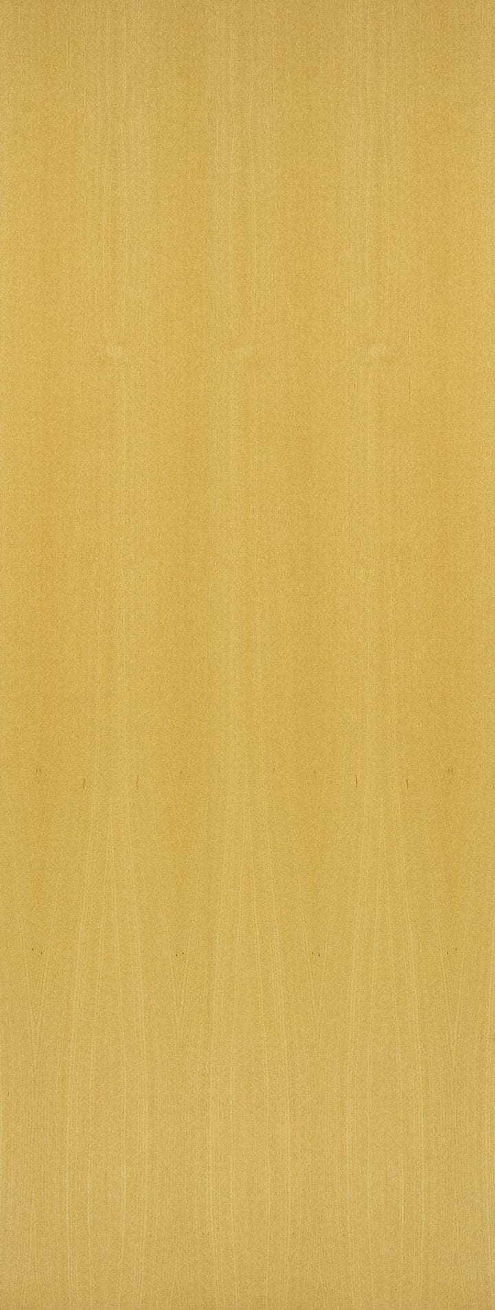 FD60 Ash Flush Door
