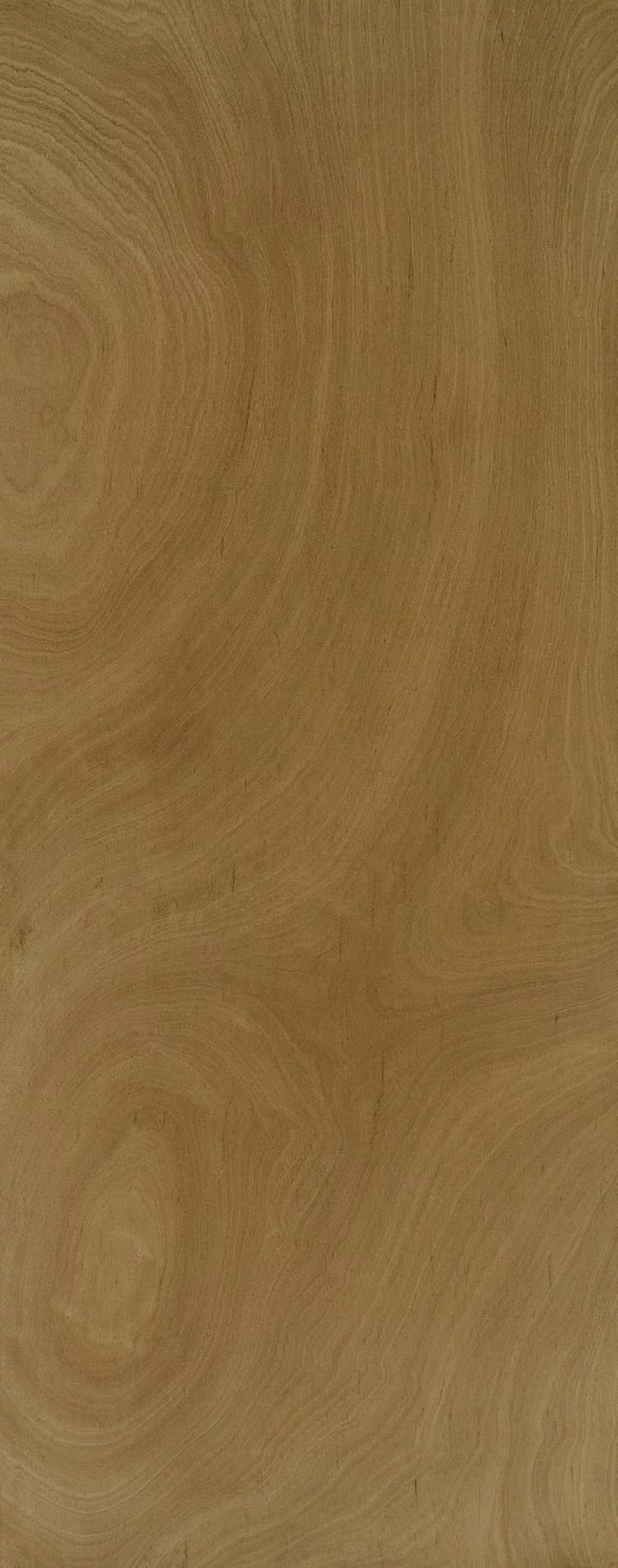 FD30 Fire Blank – Natural