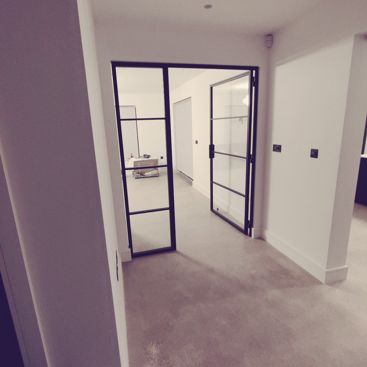 .Black Narrow Framed Door with Side panel