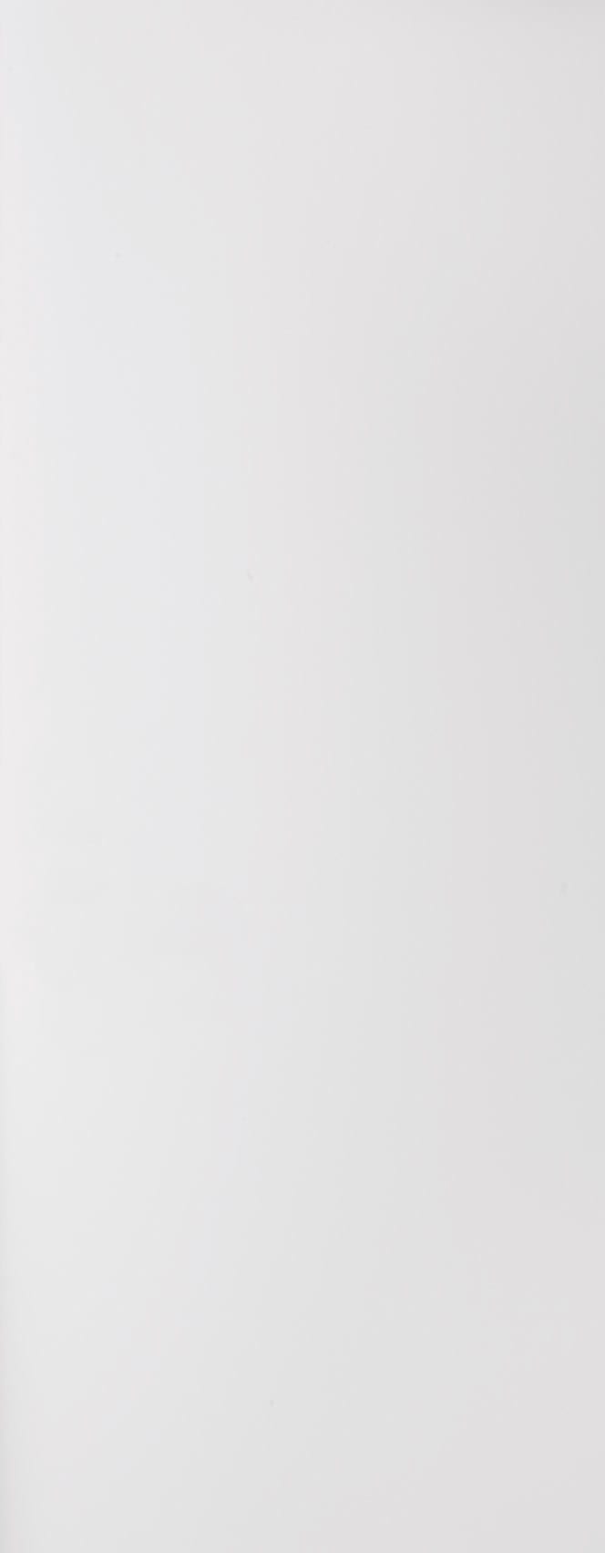 FD30 Flush Primed Firedoor NMA